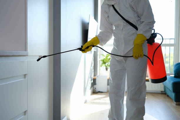 Best Residential Mold Remediation in Hernando, FL